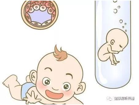 供卵试管服务
